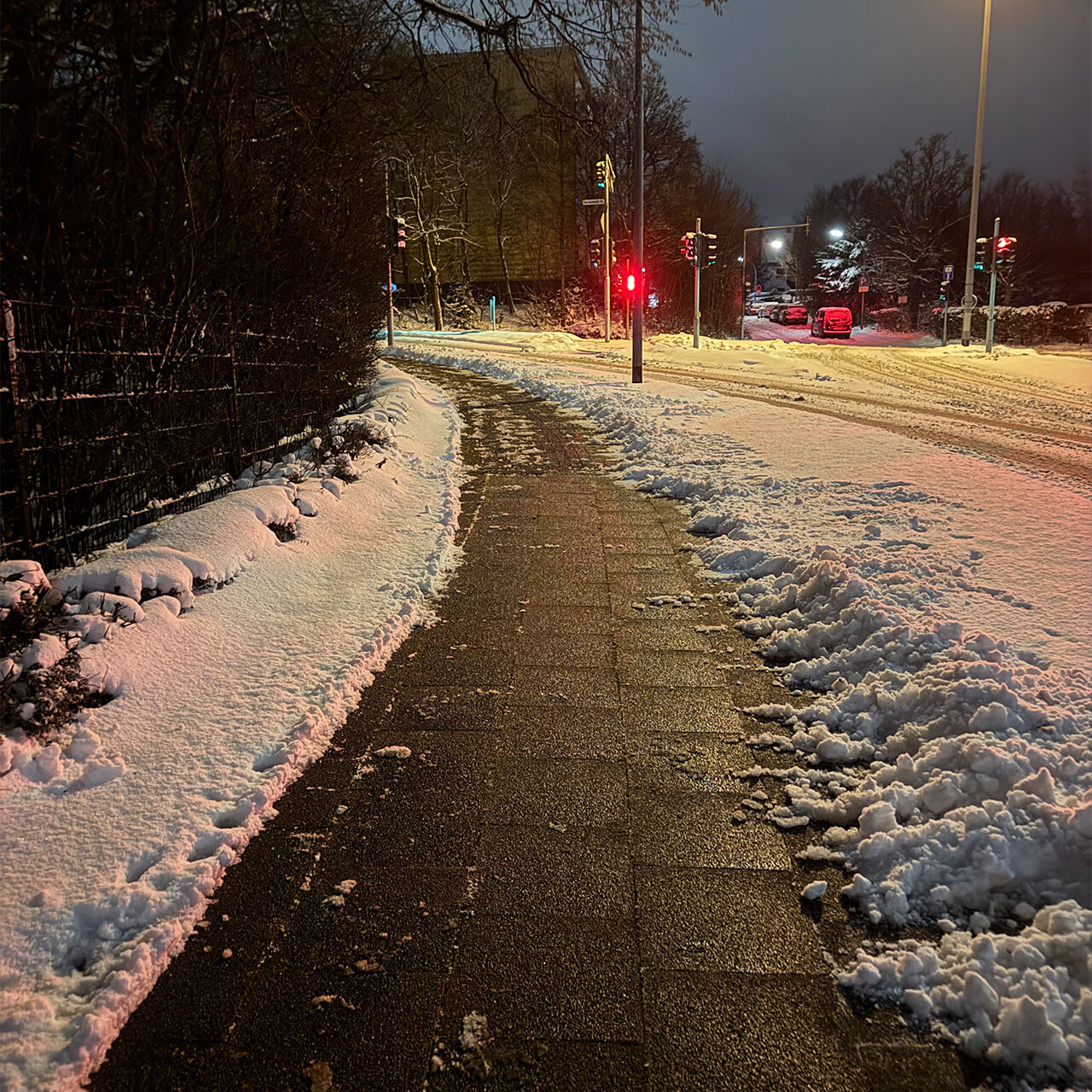 Sie sehen einen vom Schnee befreiten Bürgersteig.